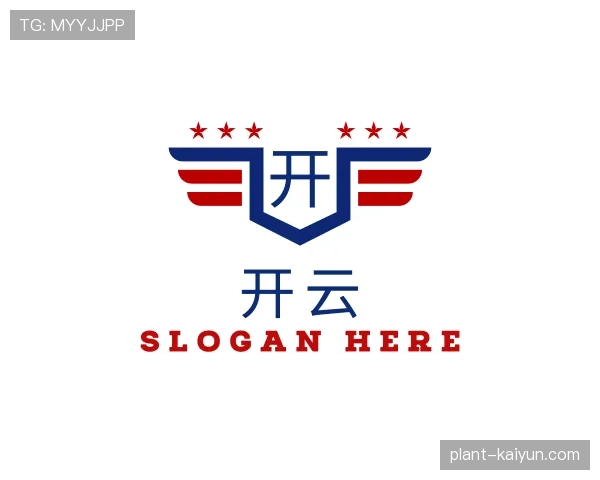 关于开云世界杯